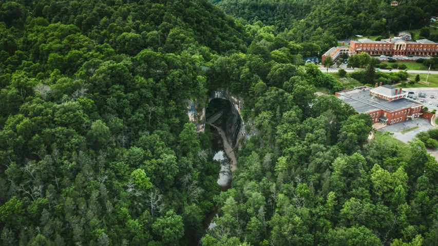 a train traveling through a lush green forest, by Dan Frazier, unsplash contest winner, hurufiyya, cozy bathhouse hidden in a cave, aerial shot from the drone, looking over west virginia, sinkholes