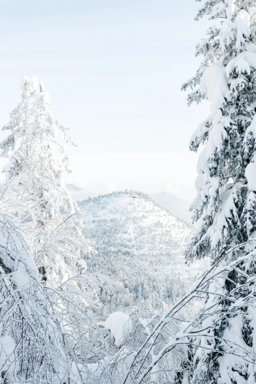 a man riding a snowboard down a snow covered slope, by Matthias Weischer, trending on unsplash, renaissance, big trees, panoramic view, slovakia, white hue