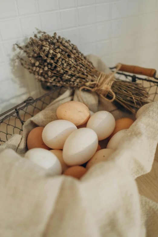 a basket filled with eggs sitting on top of a counter, a still life, unsplash, beige, organics, soft - warm, bio-inspired