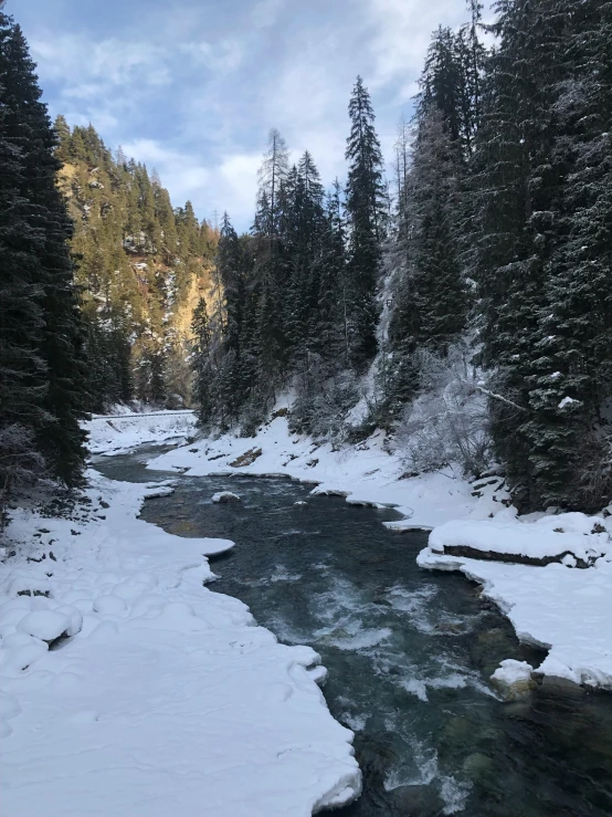 a river running through a snow covered forest, profile image, evergreen valley, in 2 0 1 8, in the center of the image