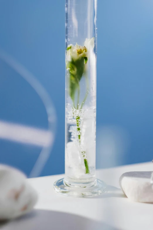 a vase filled with water sitting on top of a table, inspired by Hedda Sterne, romanticism, crystal column, glacier, fine dining, white flower