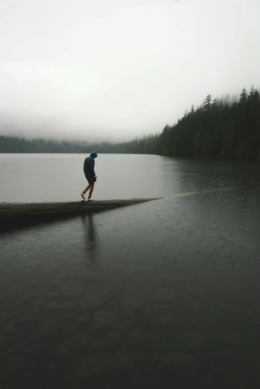 a person walking across a large body of water, by Jessie Algie, overcast lake, paul barson, caught on camera, wilderness