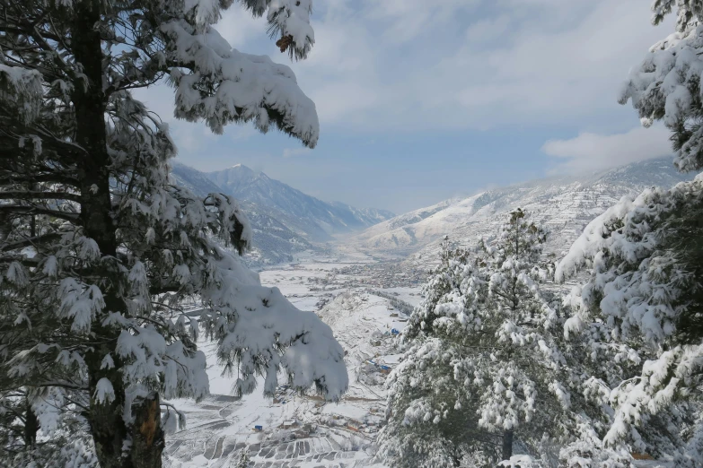 a man riding skis down a snow covered slope, by Muggur, pexels contest winner, hurufiyya, view of villages, evergreen valley, thumbnail, snow on trees and ground