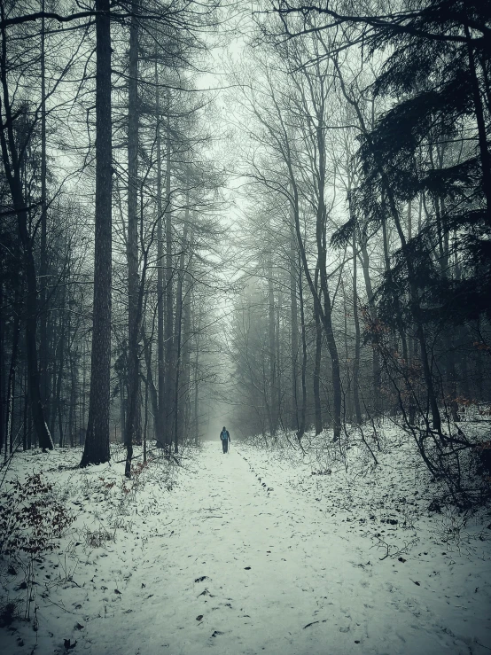 a person walking down a snowy path in the woods, an album cover, inspired by Elsa Bleda, unsplash contest winner, old photo of a creepy landscape, gloomy misty atmosphere, tourist photo, ((forest))