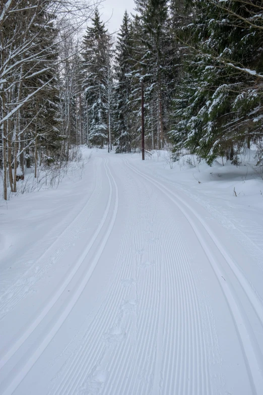 a person riding skis down a snow covered slope, inspired by Bruno Liljefors, flickr, road in a forest road, clear lines!!, smooth contours, lying on the woods path