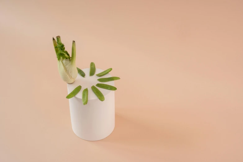 a white vase with a green plant in it, an abstract sculpture, inspired by Robert Mapplethorpe, unsplash, celery man, shot from above, o'neill cylinder, garnish