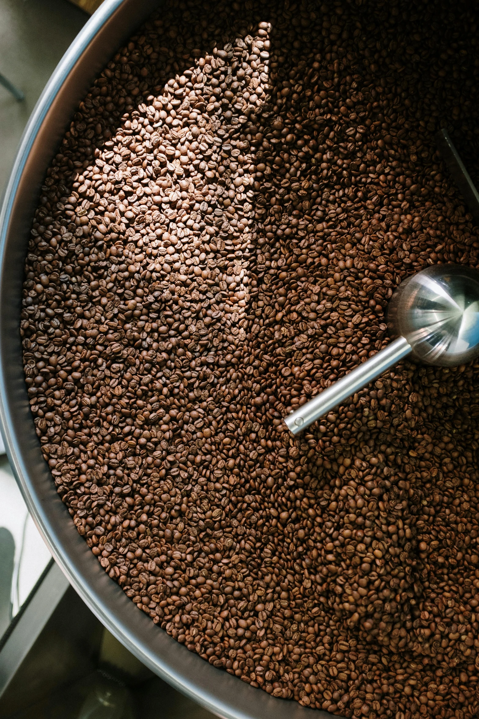 a coffee grinder filled with lots of coffee beans, by David Eugene Henry, trending on unsplash, process art, close-up from above, panel, stainless steel, iowa
