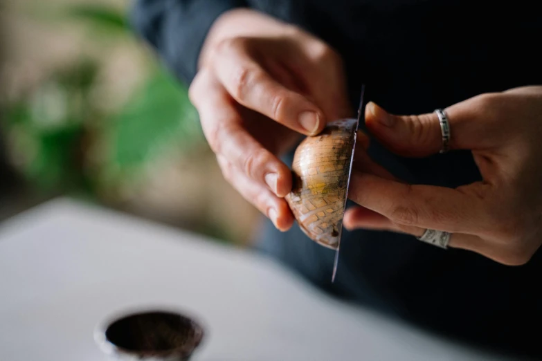 a close up of a person peeling an onion, an album cover, unsplash, snail shell, natural materials, 33mm photo, brown