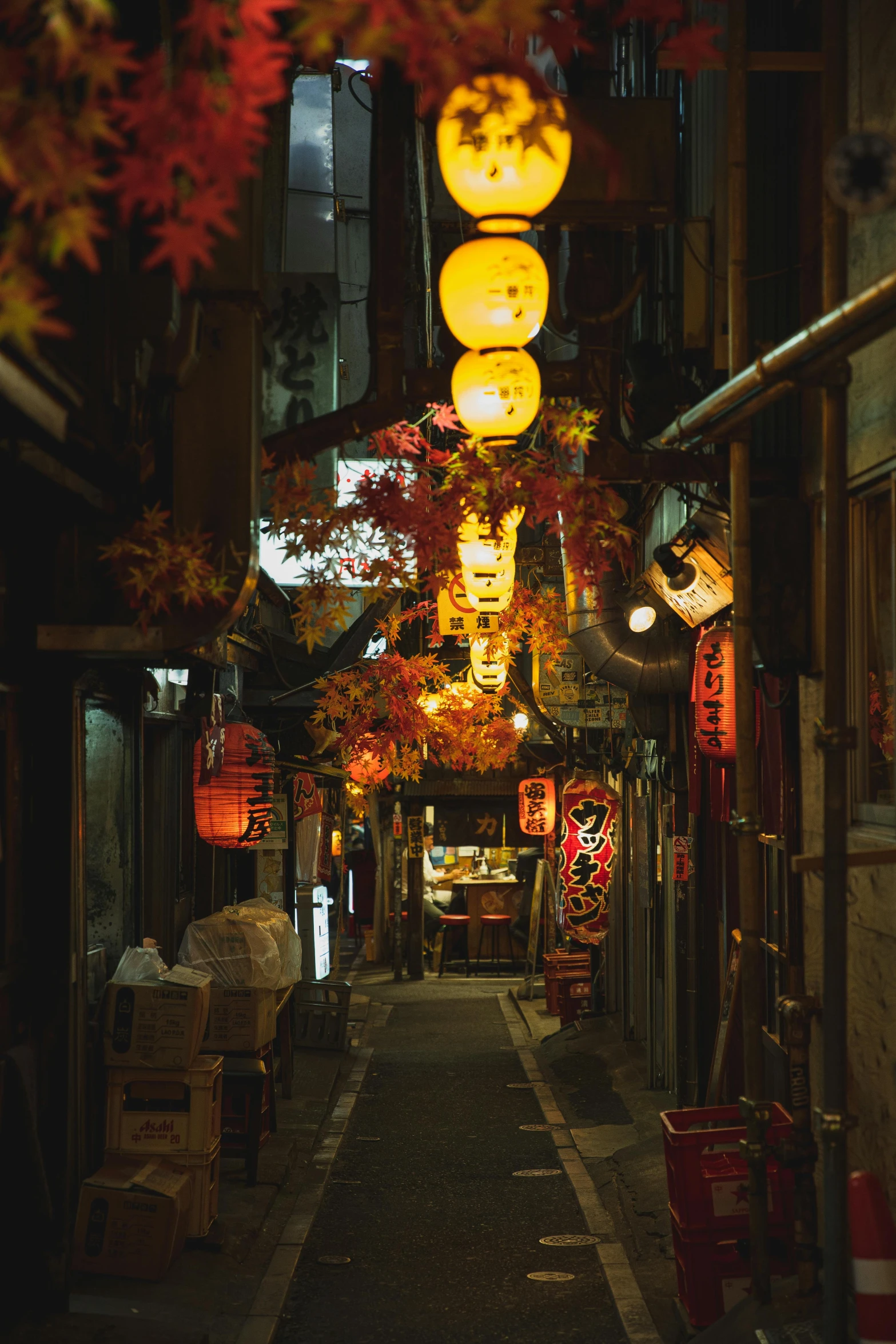 a narrow alley with lanterns hanging from the ceiling, inspired by Kanō Hōgai, unsplash contest winner, ukiyo-e, autumnal, dimly lit dive bar, portrait photo, early evening