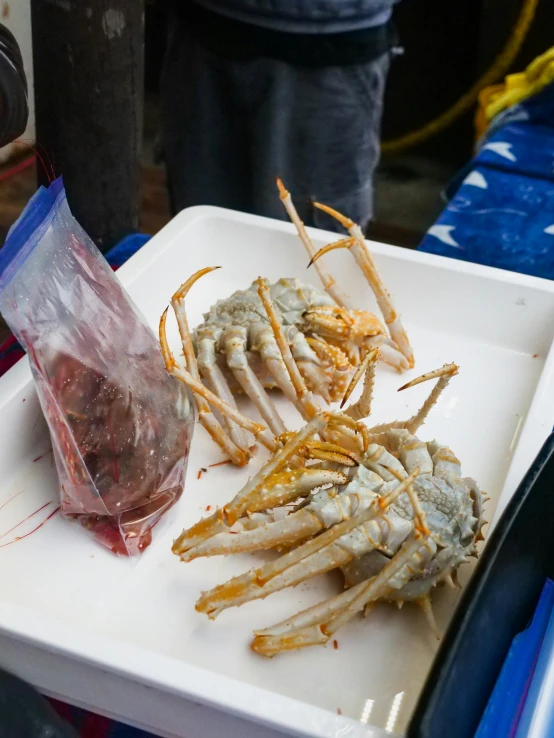 a close up of a plate of food on a table, claws are up, wet market street, thumbnail, gray