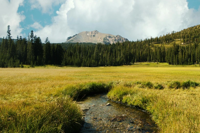 a stream running through a lush green field, a picture, by Jessie Algie, unsplash, hurufiyya, peaks, slightly tanned, in a meadow, crater lake