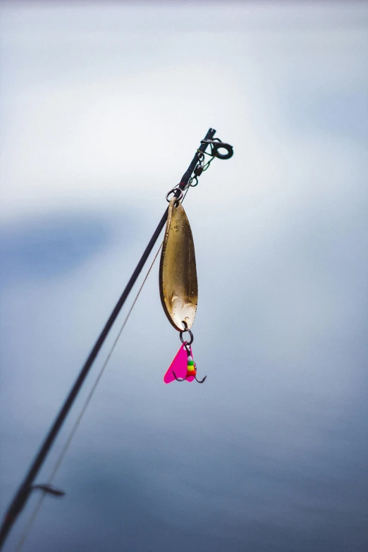 a close up of a fishing hook on a pole, a picture, unsplash, pink, flying shot, small mouth, b - roll