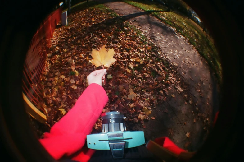 a person holding a leaf next to a fire hydrant, by Stefan Gierowski, unsplash, ((fish eye)), taken on 1970s kodak camera, autumn! colors, holding a chainsaw