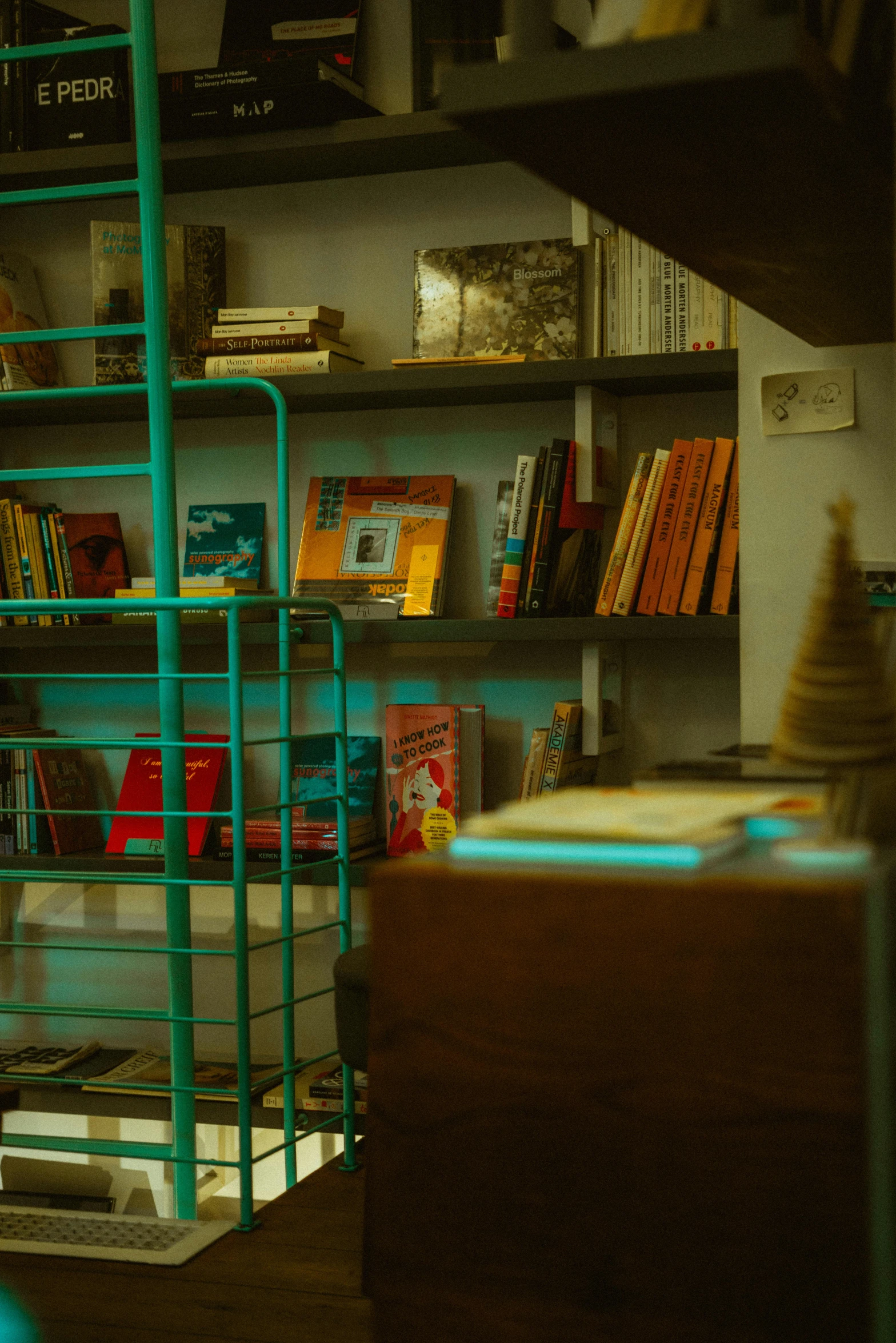 a bookshelf filled with lots of books in a room, inspired by Wes Anderson, unsplash, ocher and turquoise colors, early evening, the store, neighborhood