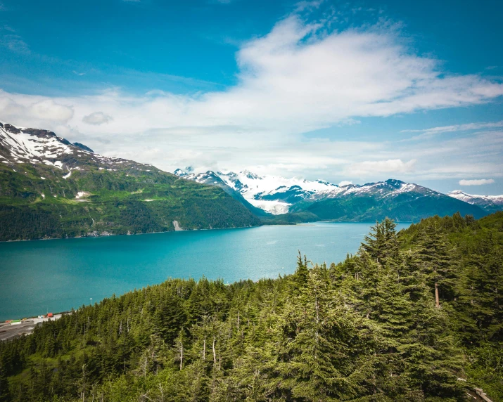 a large body of water surrounded by trees, by Kristin Nelson, pexels contest winner, fjords in background, glaciers, turquoise ocean, alaska