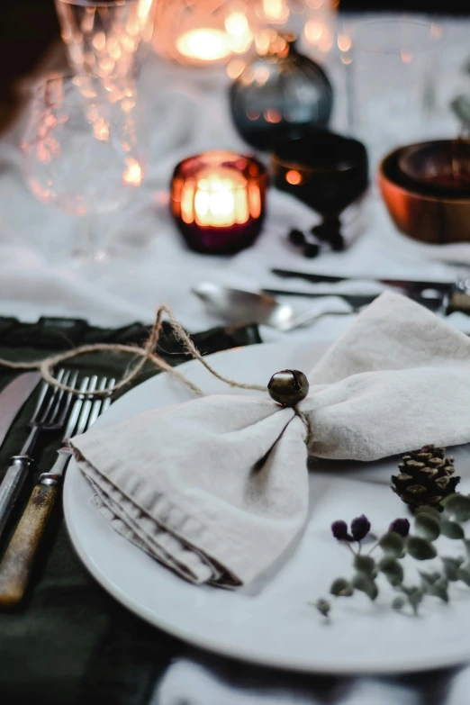 a close up of a plate of food on a table, by Alice Mason, unsplash, renaissance, winter setting, linen canvas, lights, autum