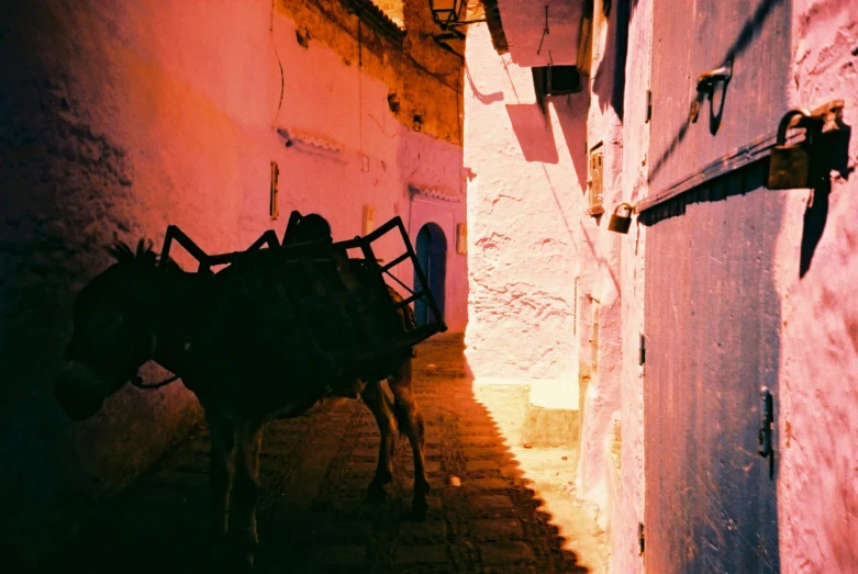 a horse that is standing next to a building, pexels contest winner, neo-fauvism, pink violet light, moroccan, shady alleys, carriage