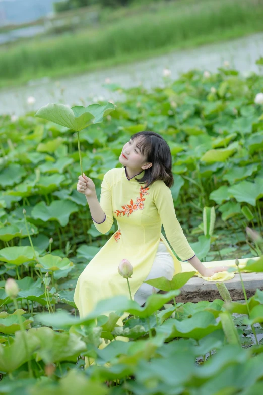 a woman sitting on a log in a field of flowers, inspired by Cui Bai, standing gracefully upon a lotus, ao dai, yellow and green scheme, innocent look