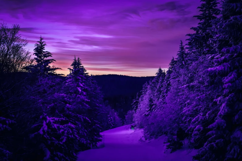 a snow covered path in the middle of a forest, by Alison Geissler, pexels contest winner, symbolism, purple sunset, purple neon, : psychedelic ski resort, dark purple sky