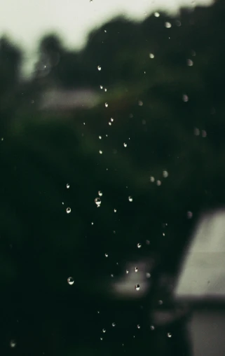 a bird sitting on a window sill in the rain, by Elsa Bleda, pexels, conceptual art, drops are falling from above, bokeh. i, grainy footage, rain water reflections in ground