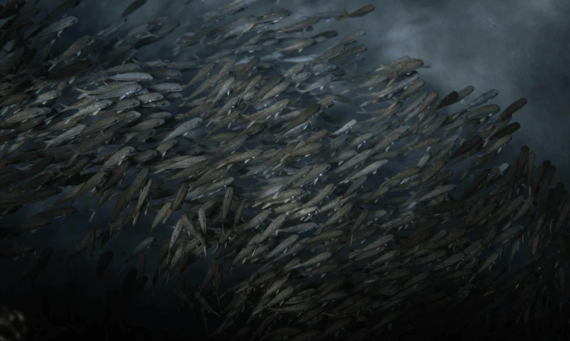 a school of fish swimming under a cloudy sky, by Jens Jørgen Thorsen, pexels contest winner, conceptual art, tibor nagy, dramatic cinematic detailed fur, midnight, hyperrealistic”