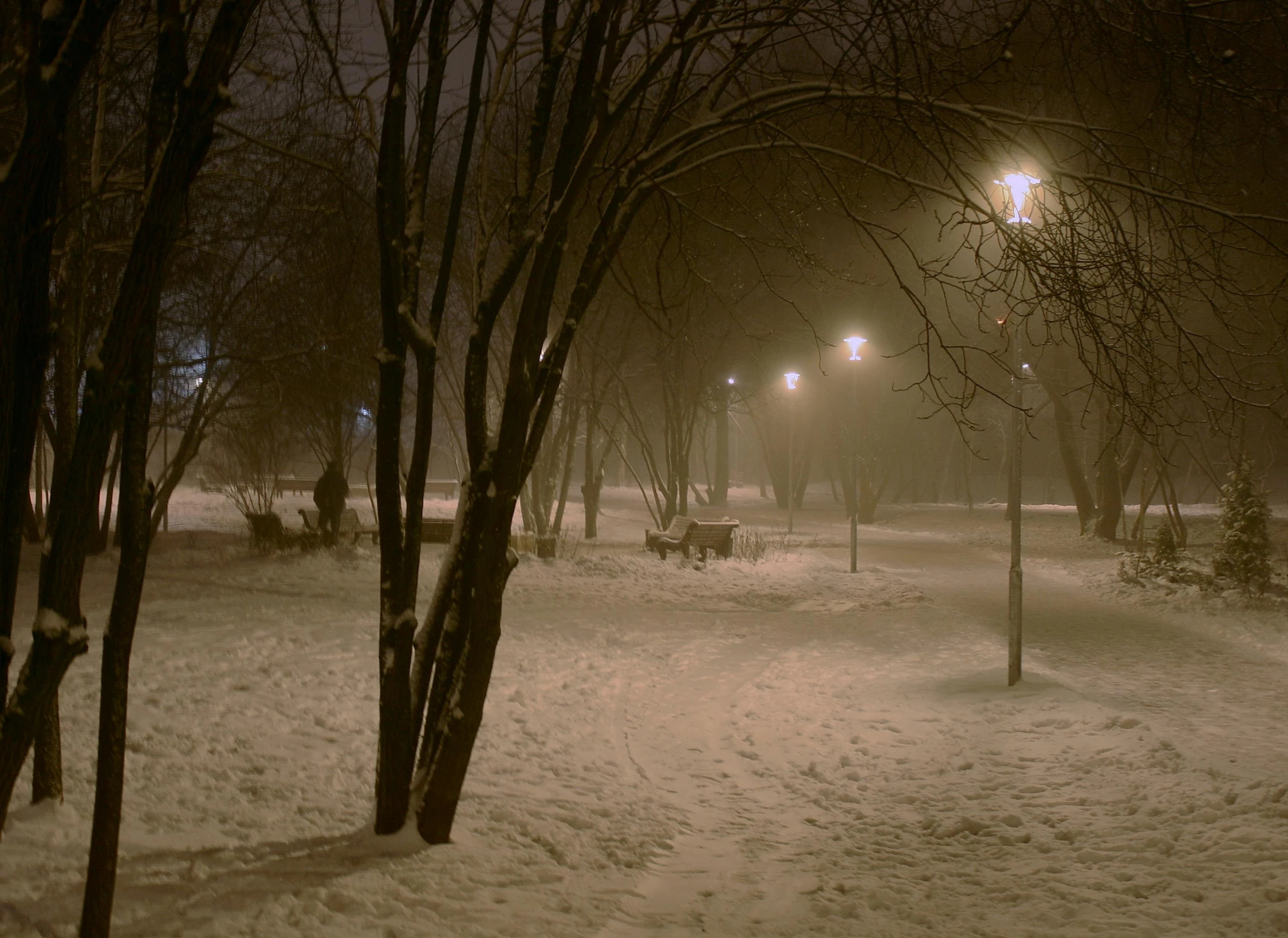 a couple of benches sitting on top of a snow covered field, by Sergei Sviatchenko, pexels contest winner, realism, midnight mist streetlights, under street lamp, dense volumetric fog, in a park