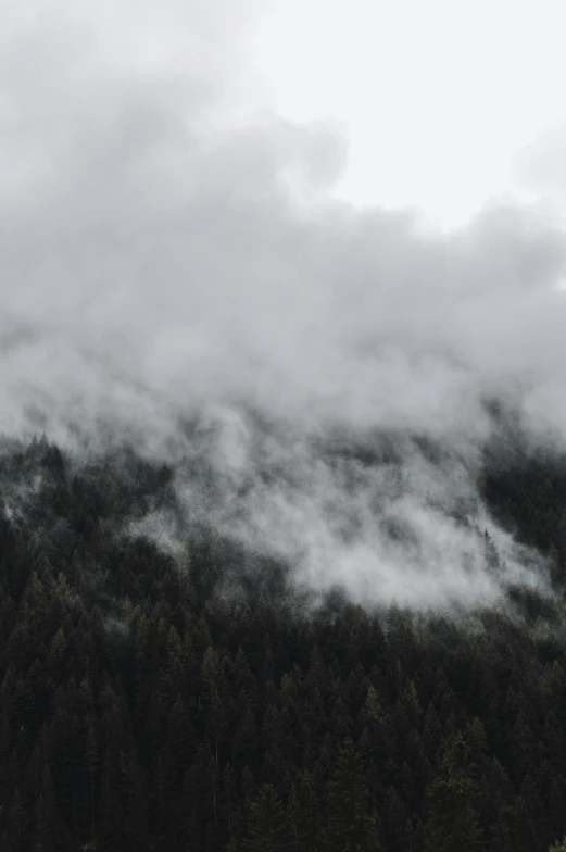 a man riding a snowboard down a snow covered slope, a picture, trending on unsplash, romanticism, dark misty foggy valley, ominous! landscape of north bend, covered in clouds, over the tree tops