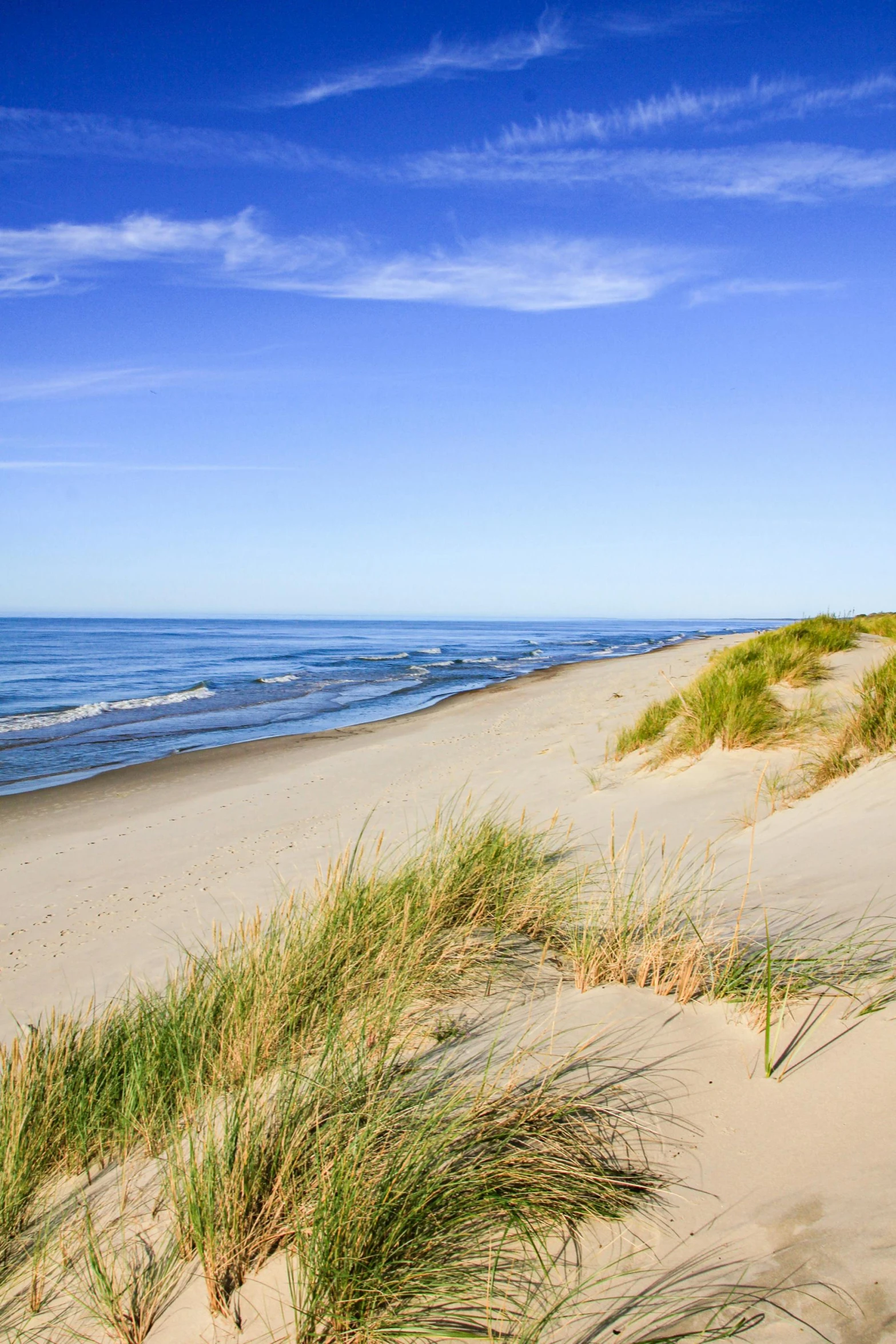 a lighthouse sitting on top of a sandy beach, sand dunes, beachfront, beach on the outer rim, sarenrae