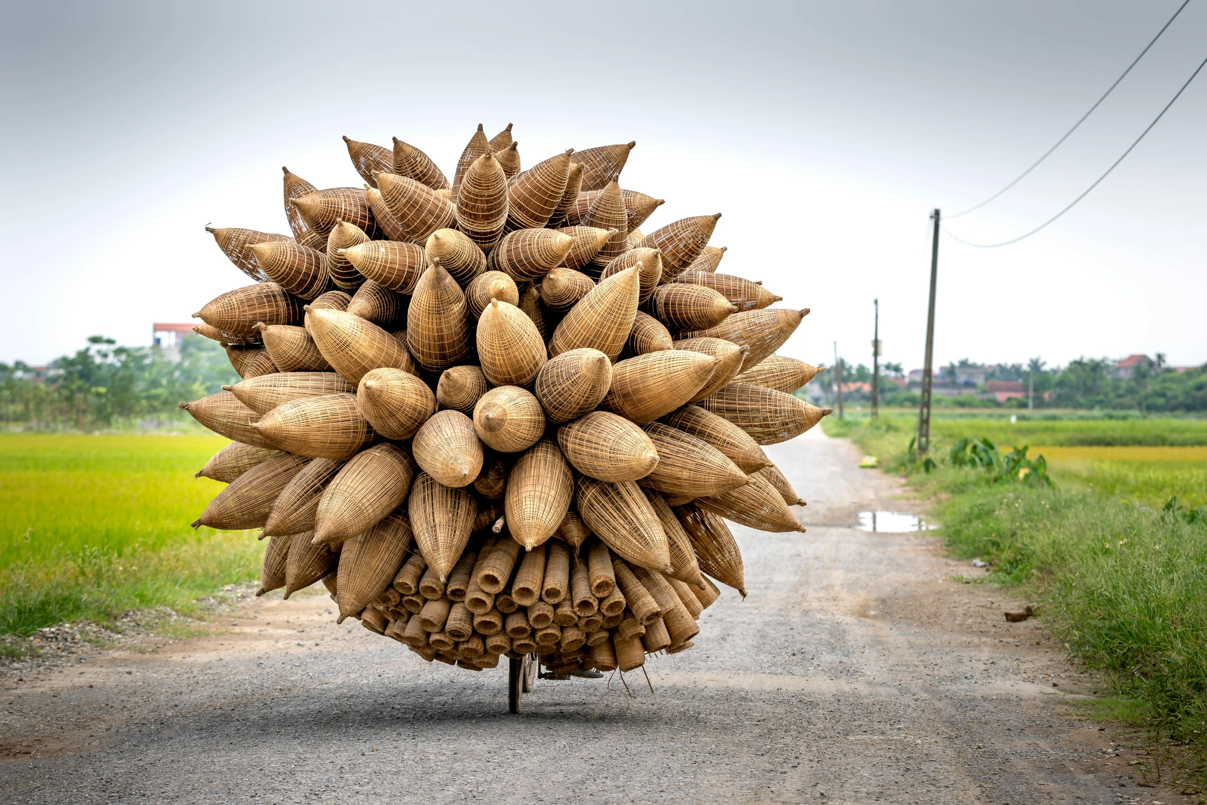 a person riding a bike down a dirt road, an album cover, inspired by Ai Weiwei, pexels contest winner, environmental art, clumps of bananas, sculpture made of wood, big pods, vietnam