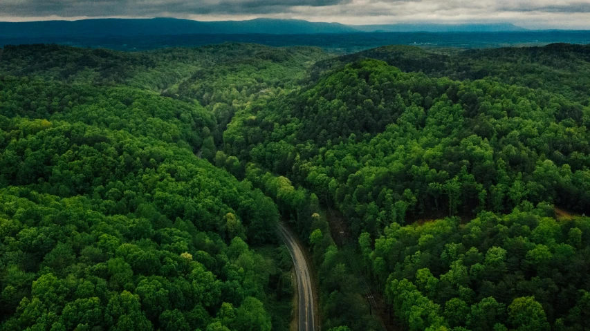 a train traveling through a lush green forest, by Adam Marczyński, pexels contest winner, renaissance, looking over west virginia, drone footage, hilly road, panoramic shot