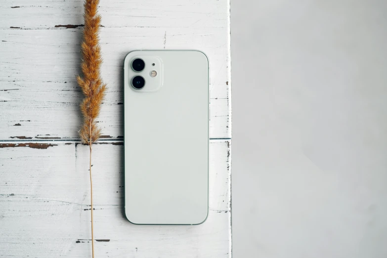a white iphone sitting on top of a wooden table, a picture, trending on pexels, minimalism, silicone cover, white backdrop, next to a plant, iphone 12 camera