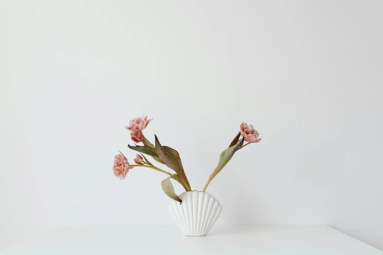 a white vase with pink flowers on a white table, unsplash, minimalism, sea shell, wearing pink floral chiton, full front view, product display photograph