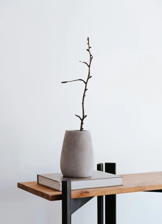 a vase sitting on top of a wooden table, concrete art, detailed product image, dwell, branches, minimal modern