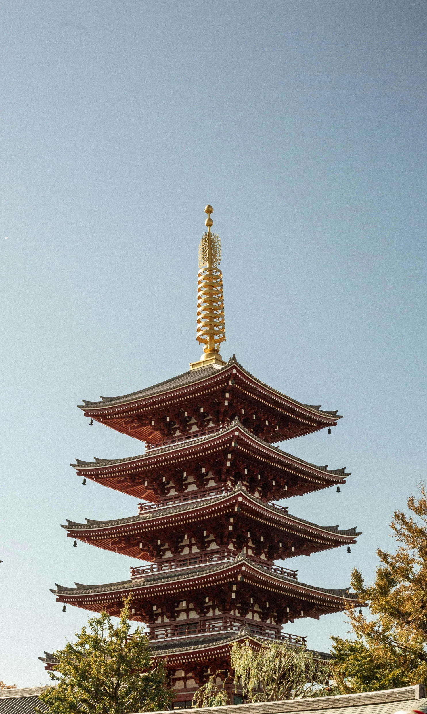 a tall pagoda sitting in the middle of a park, an album cover, inspired by Itō Jakuchū, pexels, perfect crisp sunlight, golden intricate details, closeup shot, instagram picture