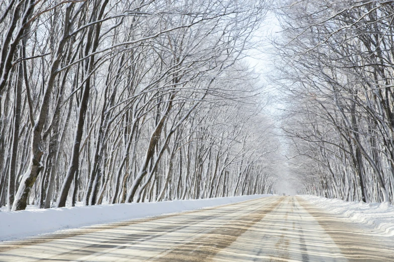 a snow covered road in the middle of a forest, by Kaii Higashiyama, istockphoto, fan favorite, panel, korean countryside