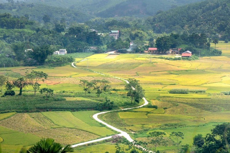 a river running through a lush green valley, sumatraism, roads among fields, ao dai, quaint village