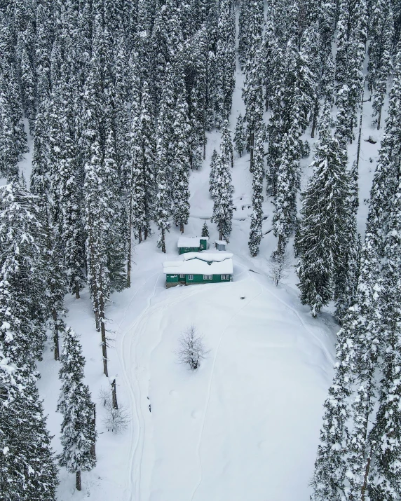 a cabin in the middle of a snowy forest, pexels contest winner, hurufiyya, seen from straight above, uttarakhand, thumbnail, chalet