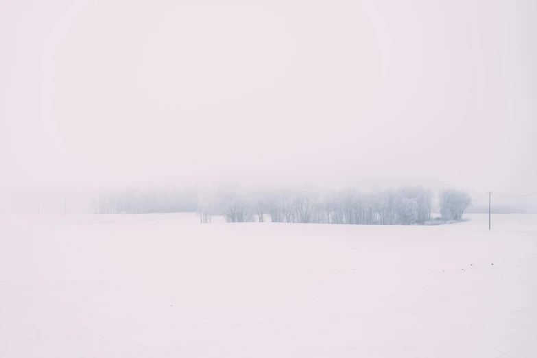 a red fire hydrant sitting in the middle of a snow covered field, a black and white photo, inspired by Elsa Bleda, postminimalism, forest pink fog planet, pink trees, in a white room, distant forest