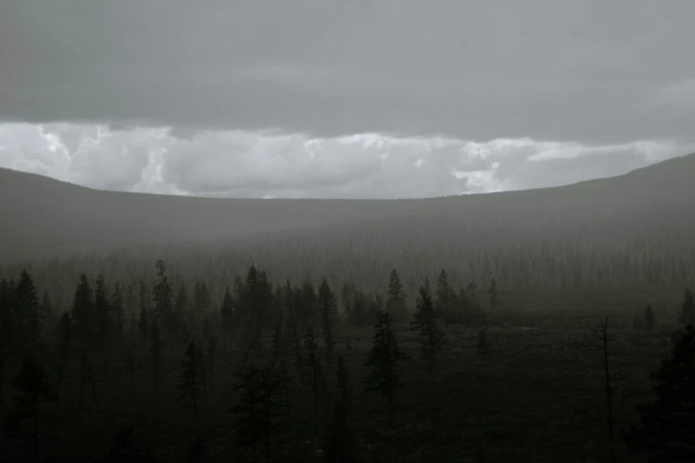 a black and white photo of a mountain range, a matte painting, inspired by Caspar David Friedrich, unsplash contest winner, tonalism, lapland, forest clearing landscape, distant rainstorm, dark pine trees