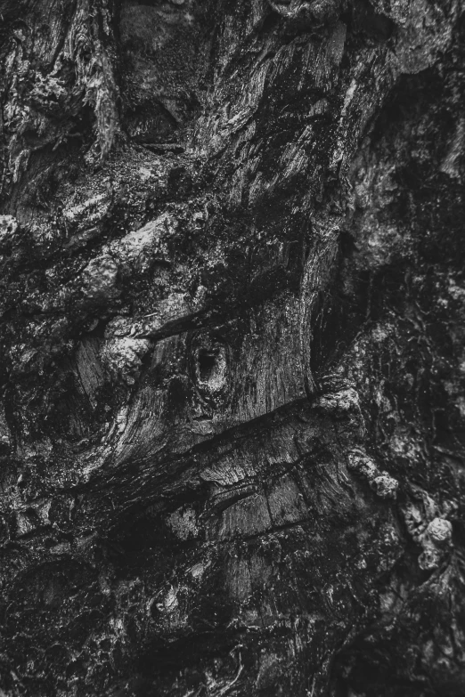 a black and white photo of a tree, unsplash contest winner, lyrical abstraction, rugged textured face, & a dark, rotten wood, textured like a carpet