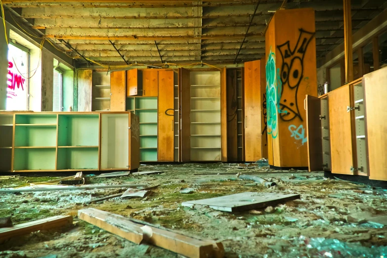 a room that has a bunch of broken glass on the floor, by Sebastian Spreng, pexels, graffiti, an overgrown library, cupboards, ((rust)), thumbnail