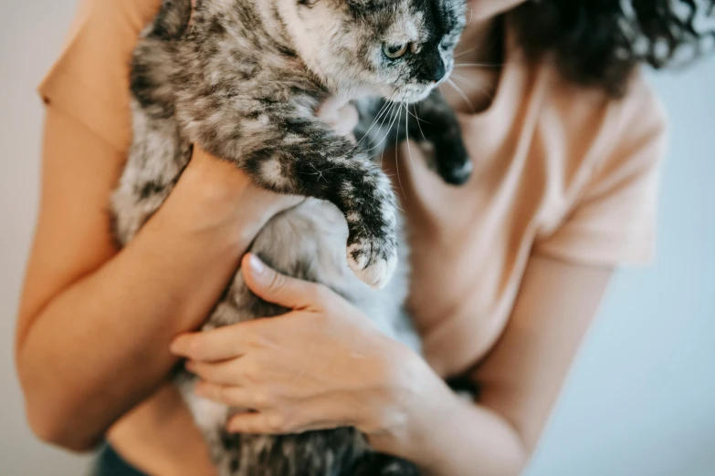 a woman holding a cat in her arms, trending on pexels, avatar image, grey, thumbnail, fleshy