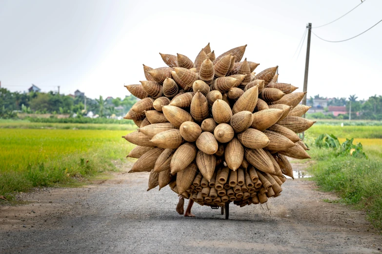 a person riding a bike down a dirt road, an album cover, inspired by Ai Weiwei, pexels contest winner, land art, clumps of bananas, carrying big sack, made of bamboo, cone heads