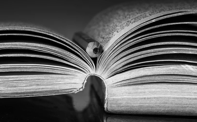 an open book sitting on top of a table, a black and white photo, by Kristian Zahrtmann, pixabay, academic art, streamlined spines, old books and dip pen, macro image, rendered image