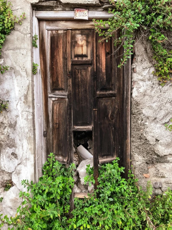 an old wooden door in a stone wall, an album cover, pexels contest winner, ancient overgrown! ruins, broken toilets, neighborhood, shutters