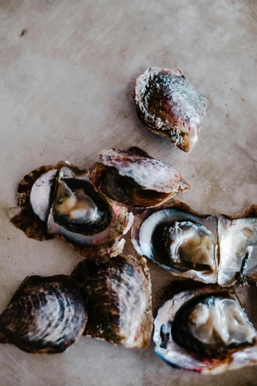 a bunch of oysters sitting on top of a table, a portrait, by Carey Morris, trending on pexels, made of glazed, thumbnail, petite, grey