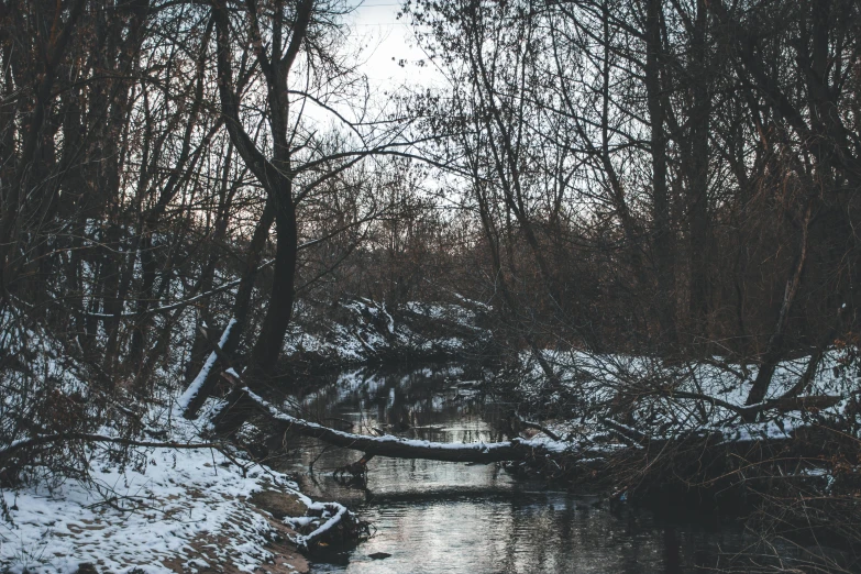 a stream running through a snow covered forest, inspired by Elsa Bleda, pexels contest winner, moody evening light, sparse bare trees, a cozy, black