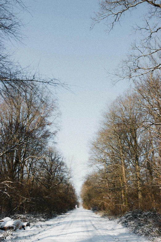 a man riding skis down a snow covered slope, an album cover, unsplash, postminimalism, road between tall trees, ((trees)), hannover, early spring