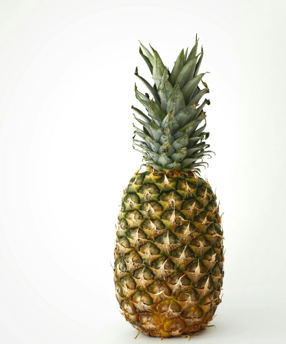 a close up of a pineapple on a white surface, by Carey Morris, professional product photo, large tall, 278122496, on a gray background