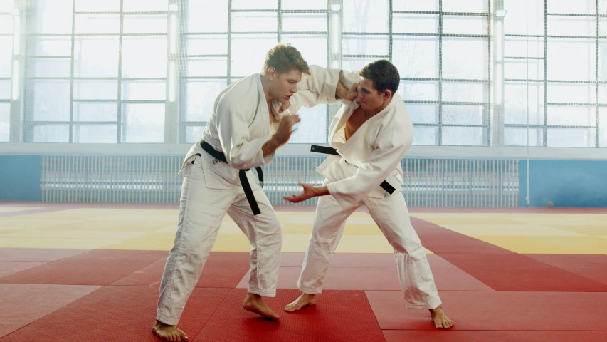 a couple of people that are standing in a room, by John Murdoch, shutterstock, doing martial arts, square, khabib, fighting with angles